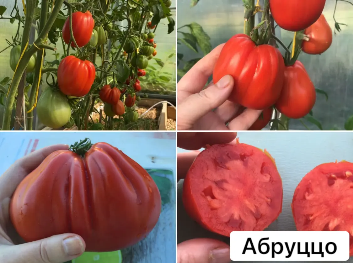 Абруццо